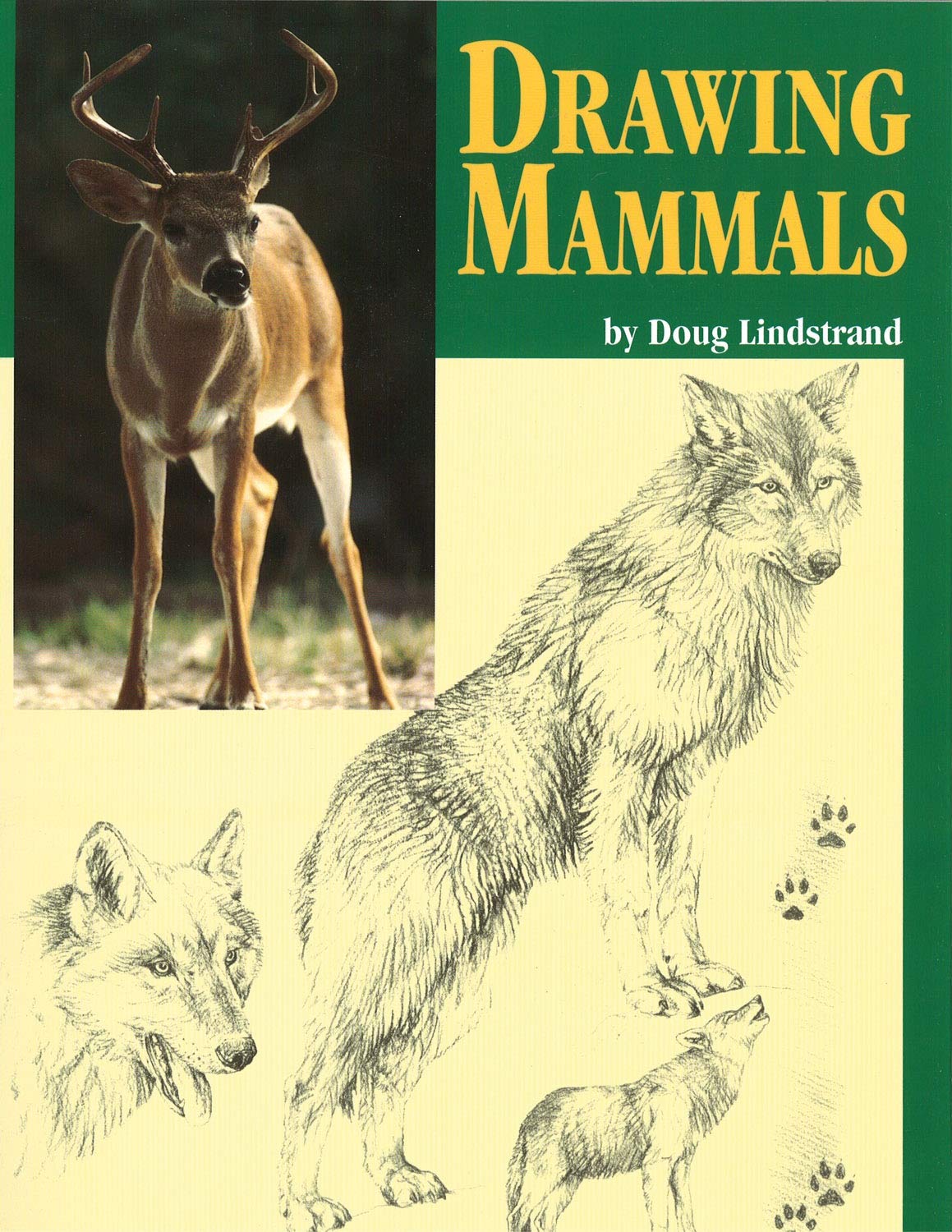 Drawing Mammals